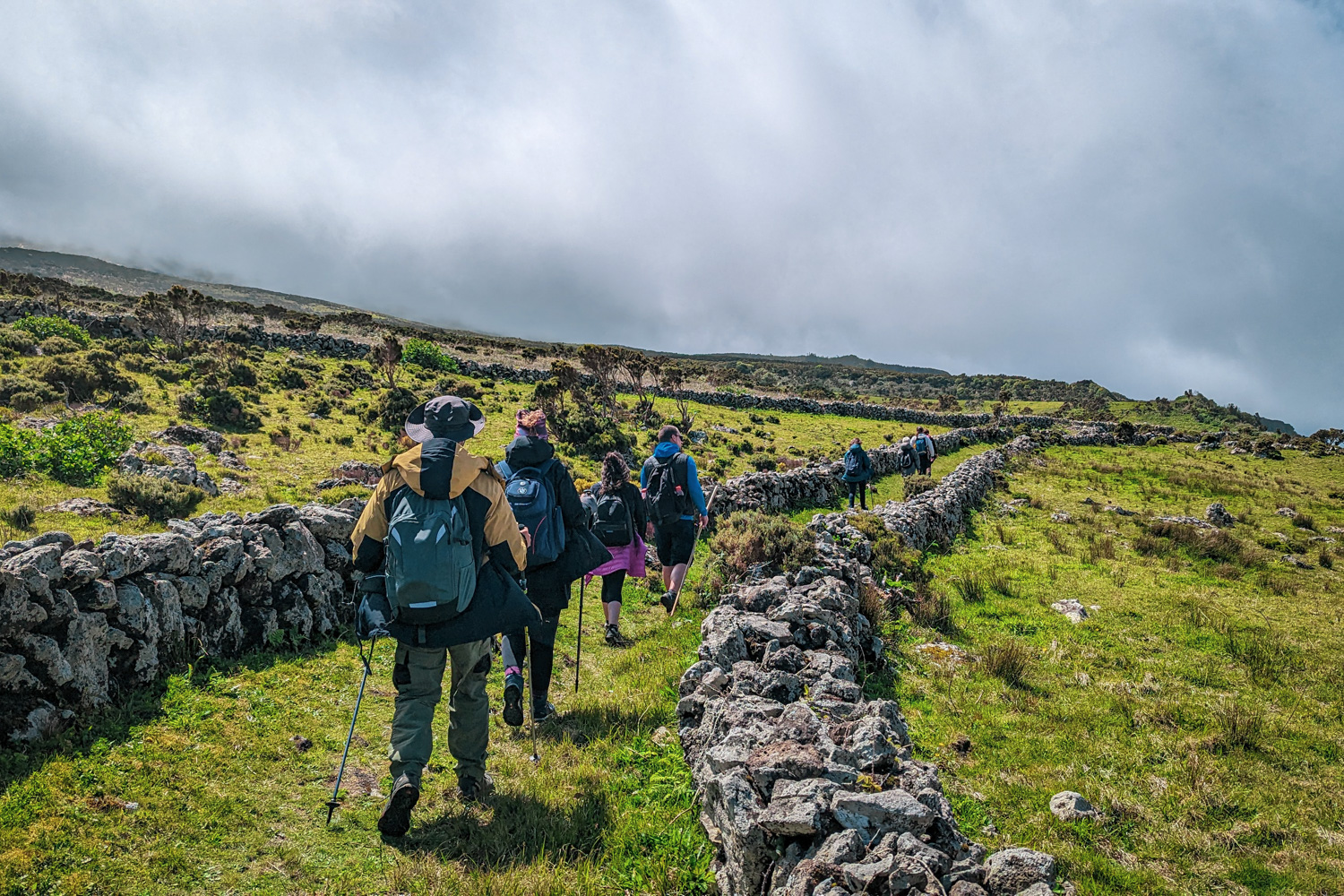 Açores (Flores e Corvo) – O Oásis do Atlântico
