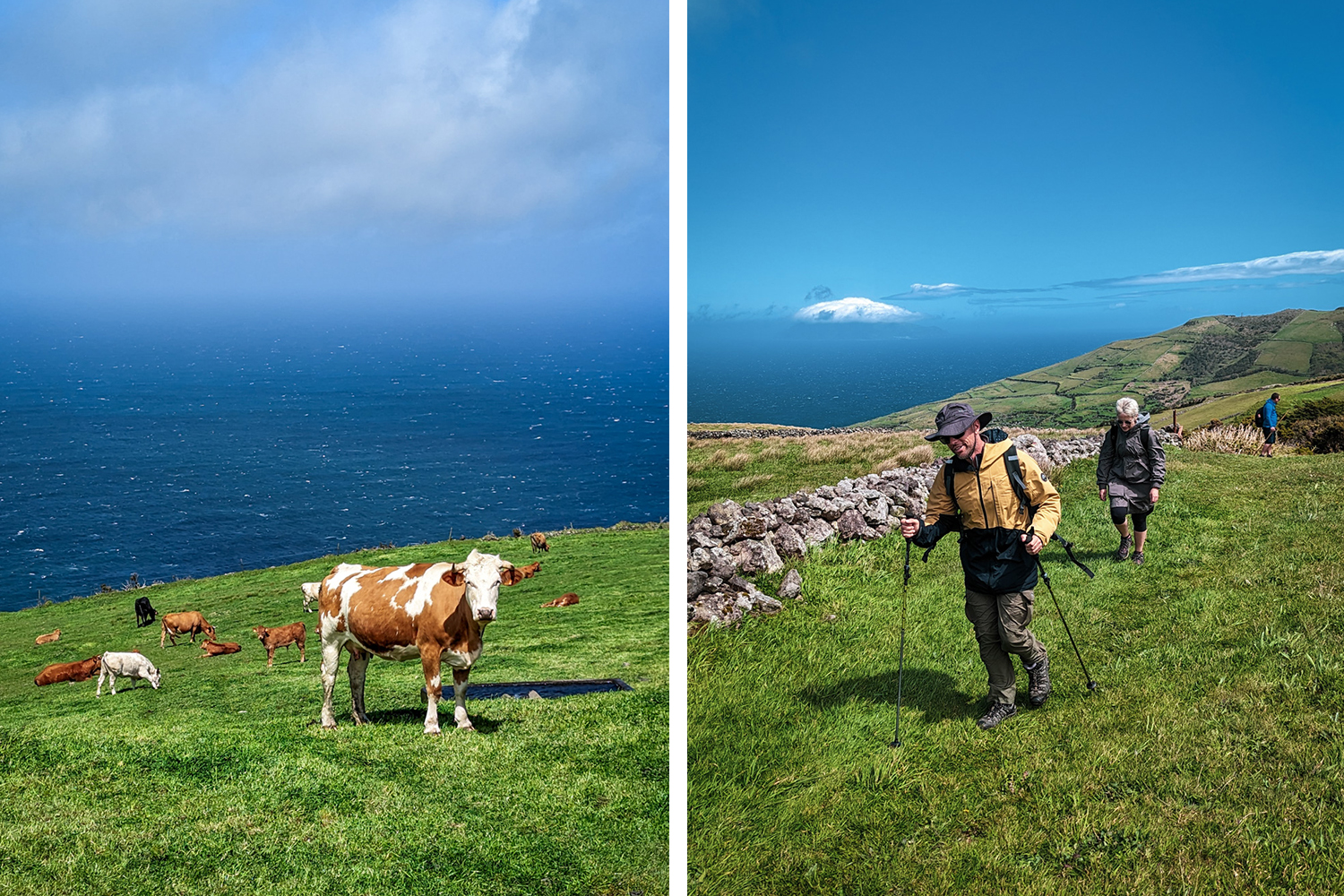 Açores (Flores e Corvo) – O Oásis do Atlântico