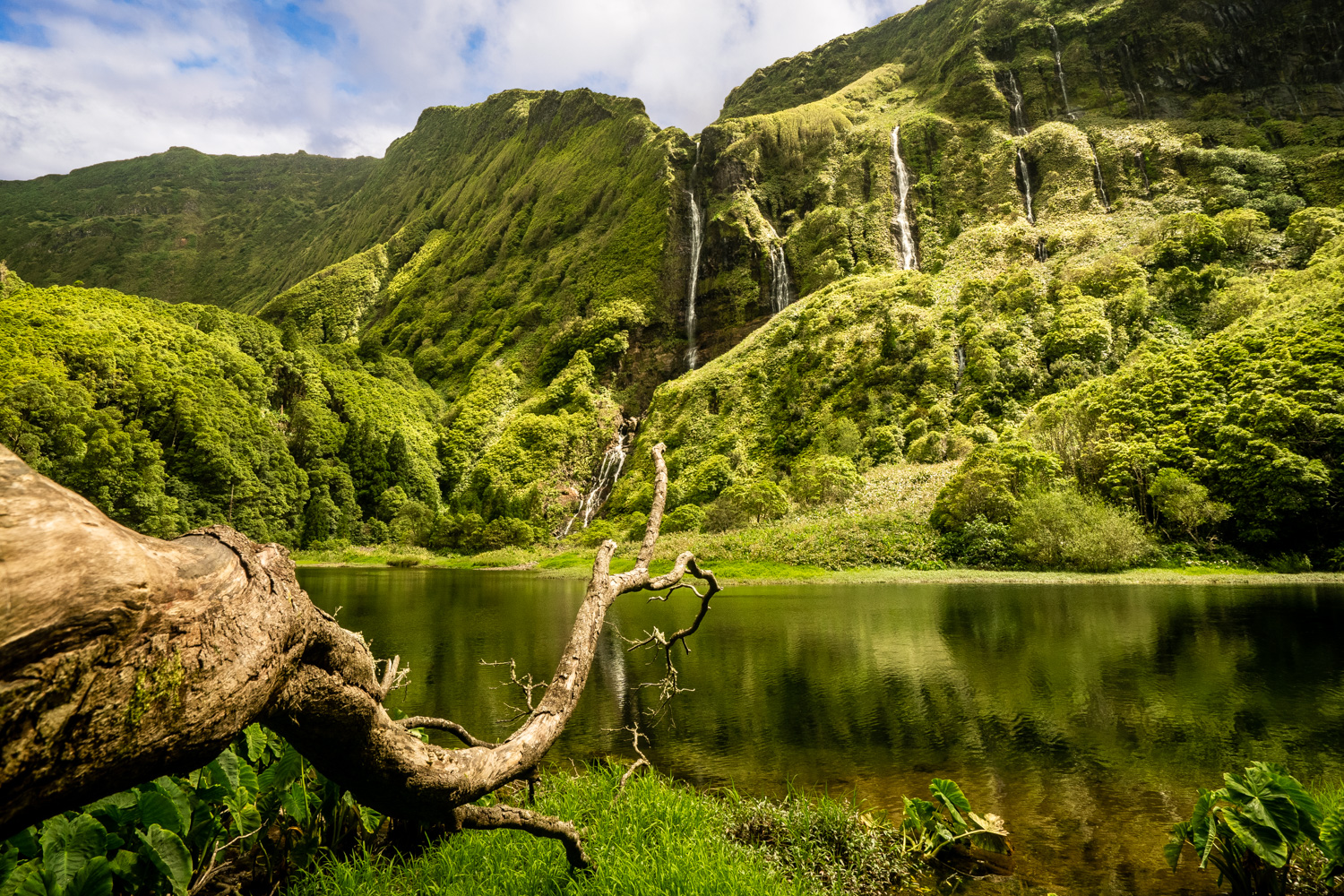 Açores (Flores e Corvo) – O Oásis do Atlântico