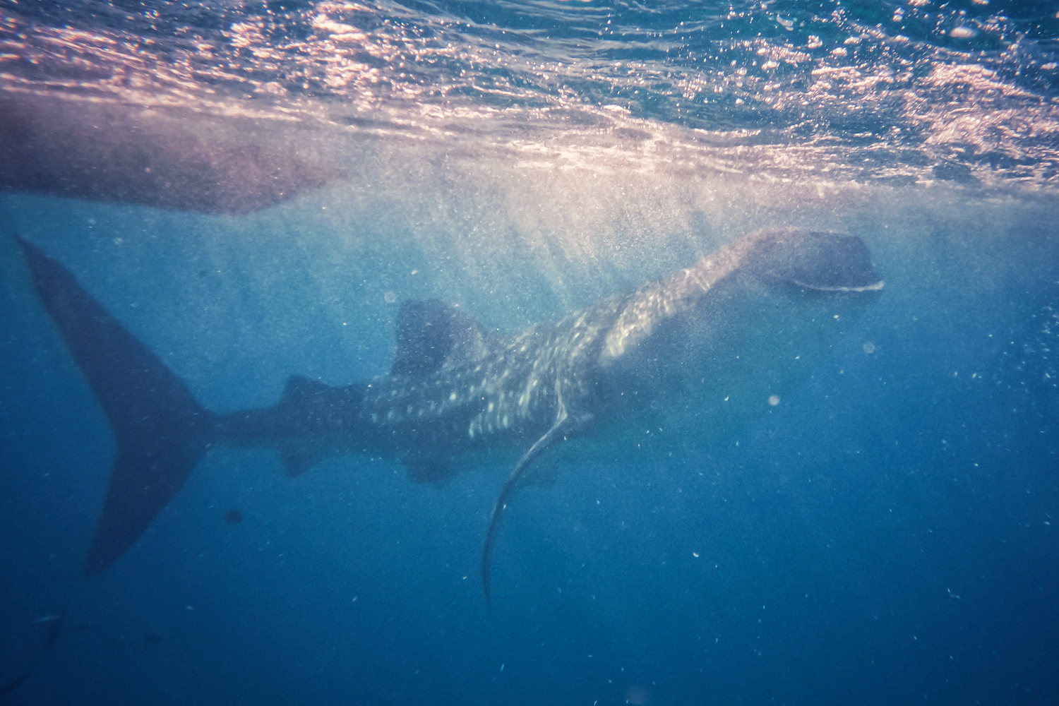 Filipinas – Cinco Ilhas, em Busca do Azul Perfeito