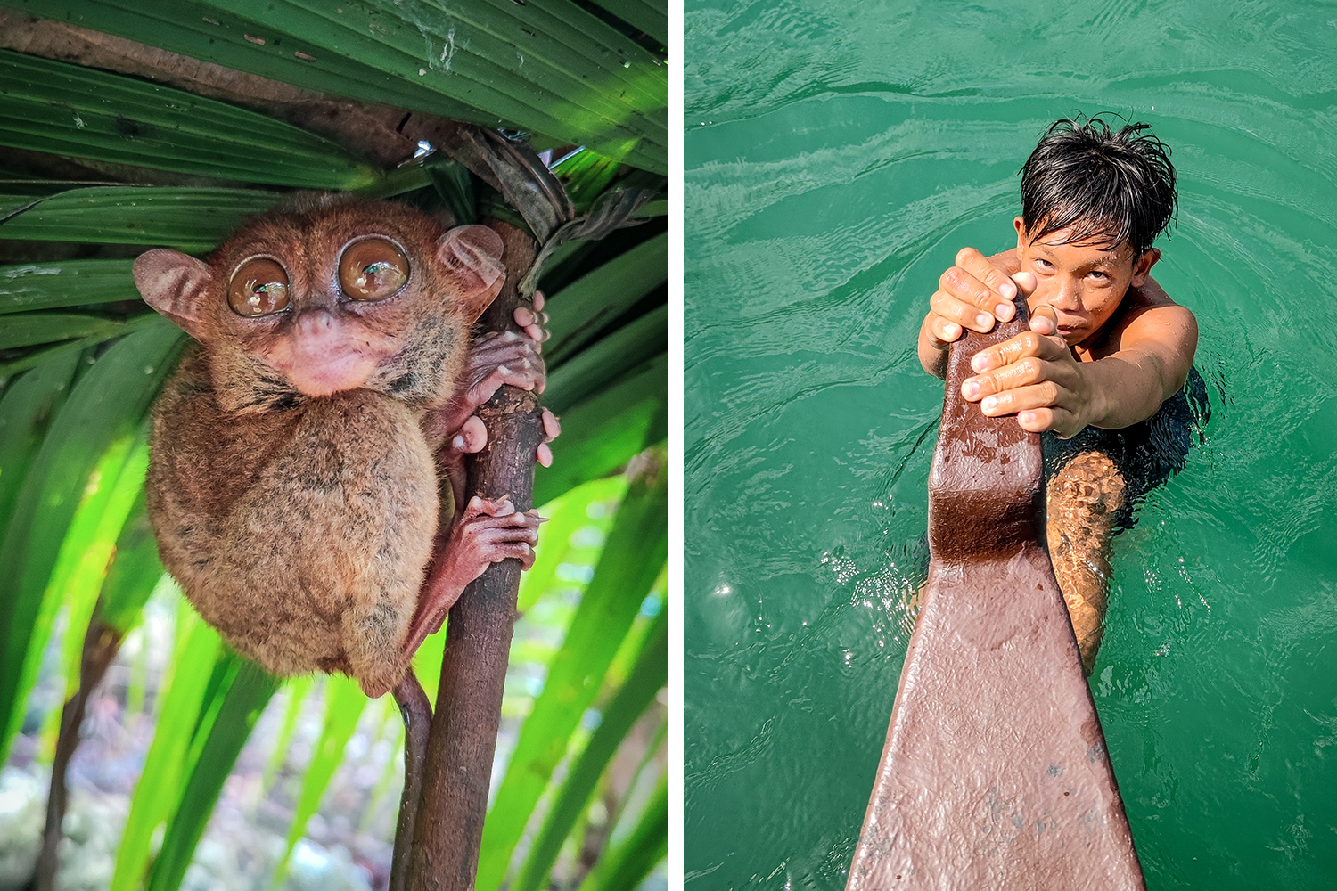 Filipinas – Cinco Ilhas, em Busca do Azul Perfeito
