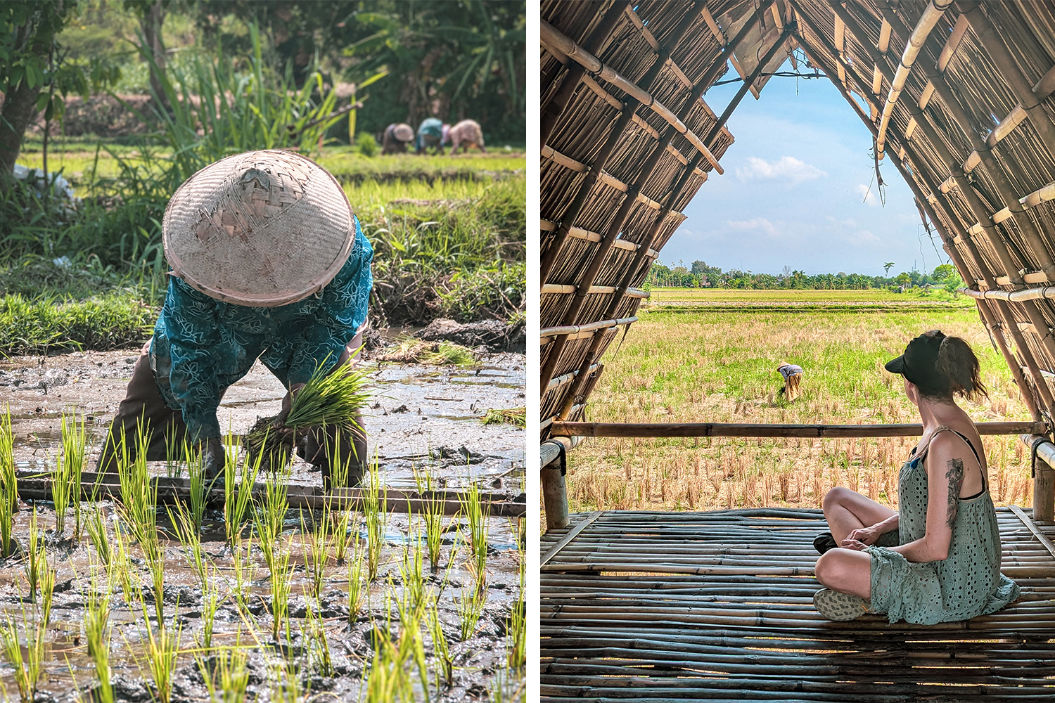 Indonésia (Java, Bali e Lombok) – Entre Espíritos e Vulcões