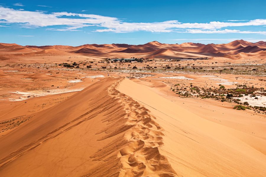 Namíbia e Botsuana – Selvagem, Autêntica e Indomável