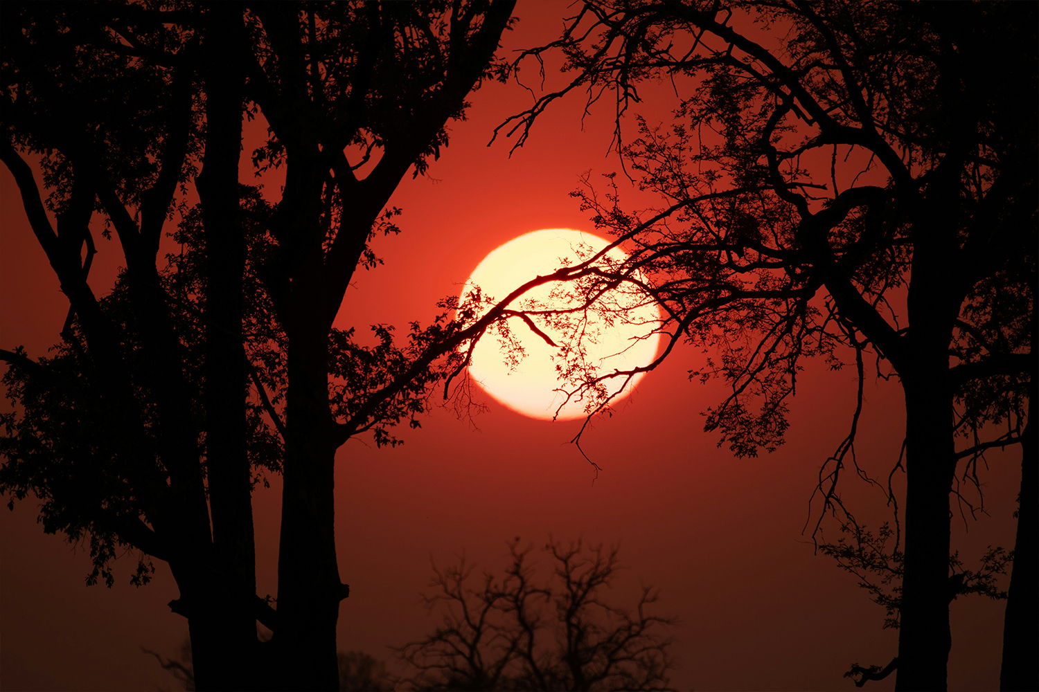 Namíbia e Botsuana – Selvagem, Autêntica e Indomável